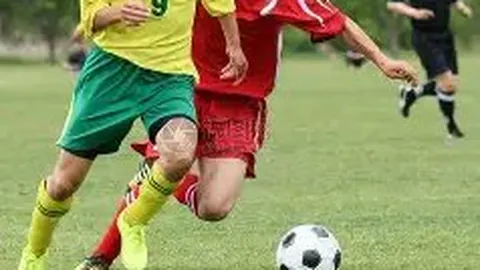 《郑智领军西海岸！黄博文、李雷雷加盟，全新教练阵容强势集结》