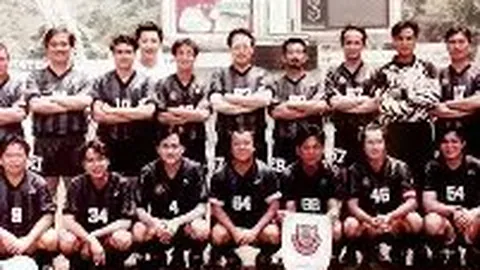 元宵晚会明星名单公布